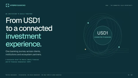 Cover of USD1: the connected opportunity